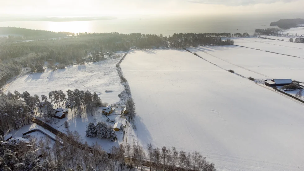 Här vill Riksbyggen slå upp 170 bostäder. Marken, som ligger relativt nära Varamon, har tidigare använts till potatisodling. 