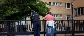 Här fångas Upplands hotade landskapsfisk
