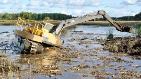 Sjögräv vid Bodnäset på västsidan av Tegelsmorasjön.