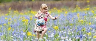 Så din egen sommaräng