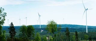 Bluff (MP) om vindkraft