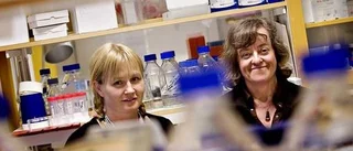 Prövotid bäst  för  doktorander