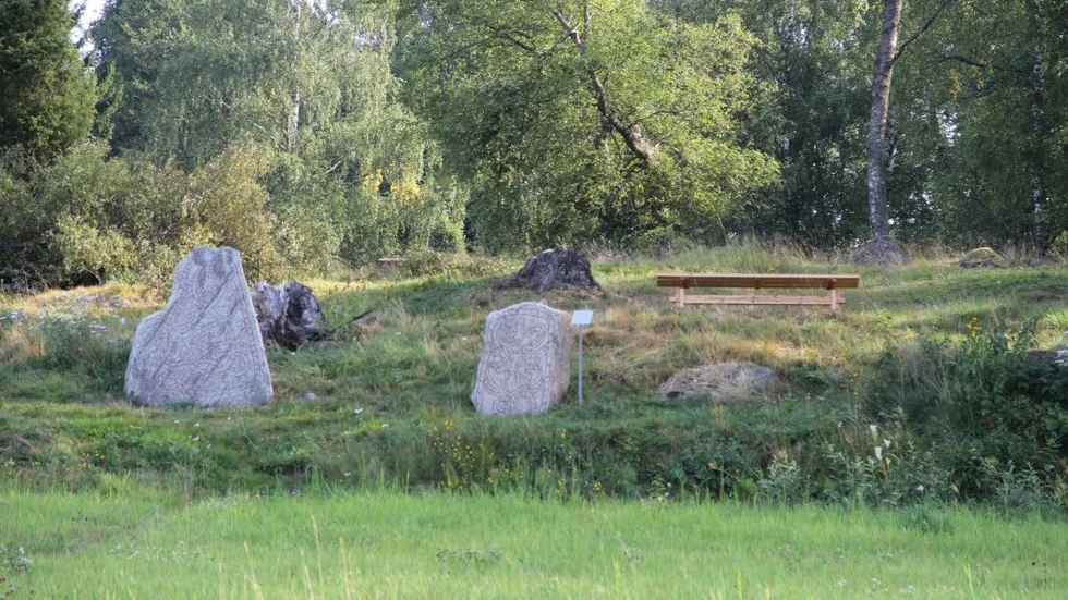 Runstenarna på kullen i Ramsjö är mera framträdande sedan flera stora träd i närheten gallrats bort.
