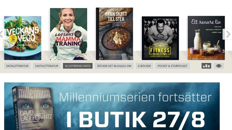 Så här ser det ut på förlagets hemsida...