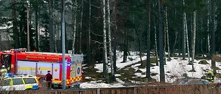 Bilist körde in i träd