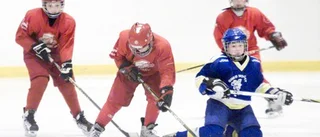 UNT-cupen lockar många hockeylag