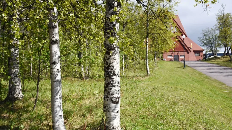 Även 100 träd ska flyttas till nya centrum från områdena som ska bli gruvstadsparker. Några av träden runt kyrkan kommer att få följa med när kyrkan flyttar.