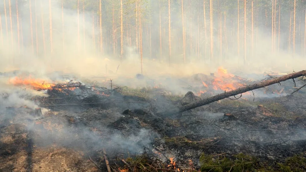 Det är torrt i markerna. Det senaste larmet om skogsbrand kommer från Murjek. (arkivbild)