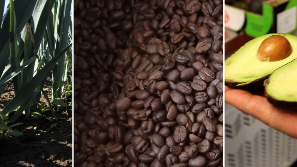 Purjon och avokado har blivit billigare, men kaffe skenar i pris.