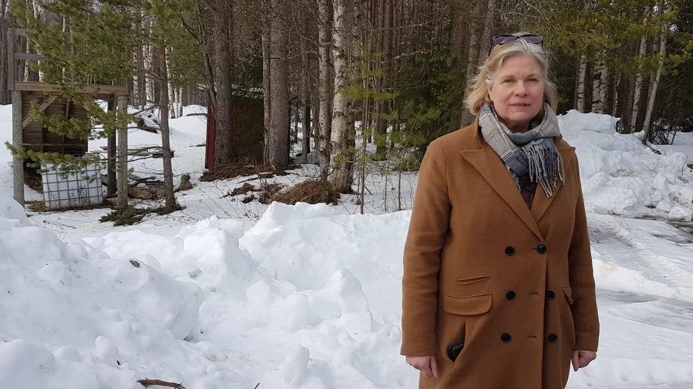 Åsa Wikman, chef för miljö- och hälsoskydd, säger att föroreningarna inte påverkar människor eller djur.