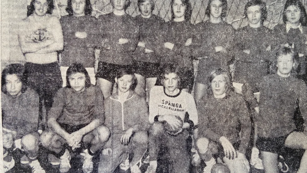 Vingåkers IF:s duktiga pojklag i handboll, som missade finalspelet på målskillnad. Stående från vänster Kjell Larsson (lagledare), Christer Lindervik, Håkan Schörling, Thomas Hansson, Hans Andersson, Mats Bergström, Per Andersson och Weine Eriksson (tränare). Knästående från vänster: Peter Johansson, Curt Korsbäck, Mats Persson, Lars-Åke Mård, Ove Björling och Jens Eriksson.
