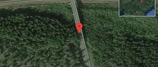 Fallna träd skapar problem i trafiken på väg 55