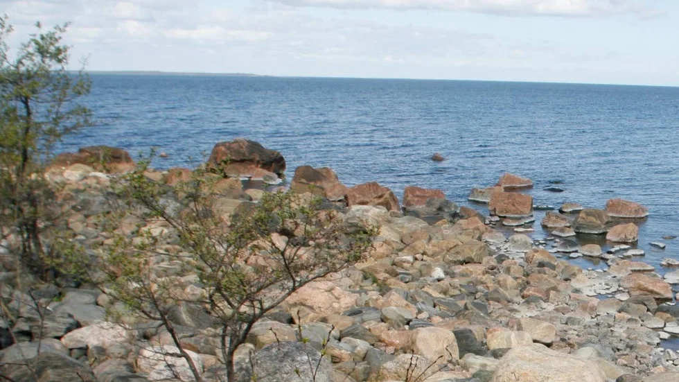Beslut. Källarberget i Fagerviken blir naturreservat. Det beslutade kommunfullmäktige i Tierp på tisdagen.