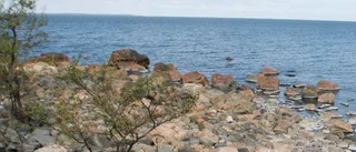 Källarberget blir naturreservat