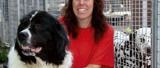Fullt upp på hundpensionaten