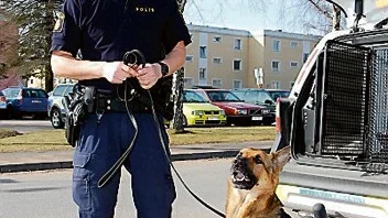 Poliser med hundpatrull, helikopter med värmelampa och flertalet polisebilar deltog i sökandet efter den försvunna kvinnan. Roger Karlsson var med när hon efter en hel natt utomhus, återfanns.  Foto: Jenn Hultberg