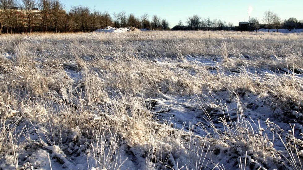 Snö i Sigtuna - arkivbild.