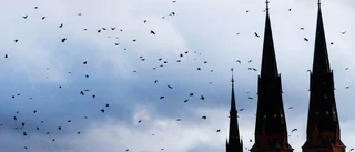 Rekordmörk november för Uppsala