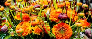 Magiska blommor som gåva