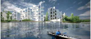 Drömprojektet är i fara
