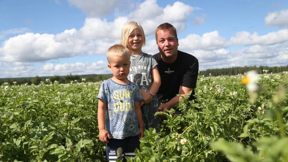 Andra och tredje generationens potatisodlare. Mikael Bjurman tillsammans med dottern Moa, 6 år, och sonen William, 3 år. När Moa får frågan om hon ska bli potatisodlare när hon blir stor säger hon att hon redan är det.