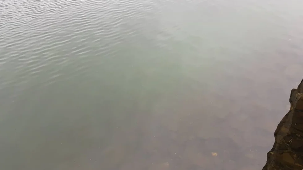 Utsläppet ser ut som en grönaktig dimma just under vattenytan. Frågan är var det kommer ifrån?