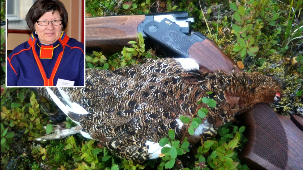 Ingrid Inga tycker att fritidsjägarna blåser upp konflikten. "Deras fritidsintresse ska gå före en basnäring och grunden för hela den samiska kulturen. För mig är det nästan en omöjlighet", säger hon.