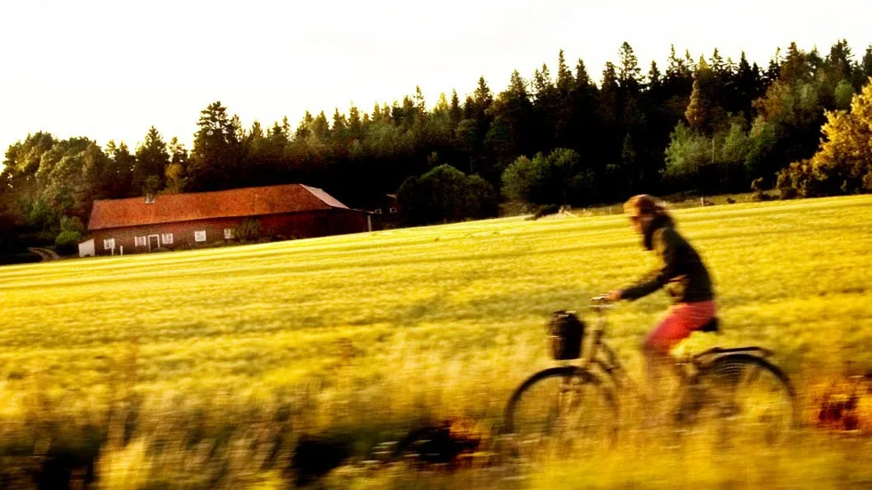 Arkivbild. Naturskön cykeltur längs Fyrisån blir snart verklighet.
