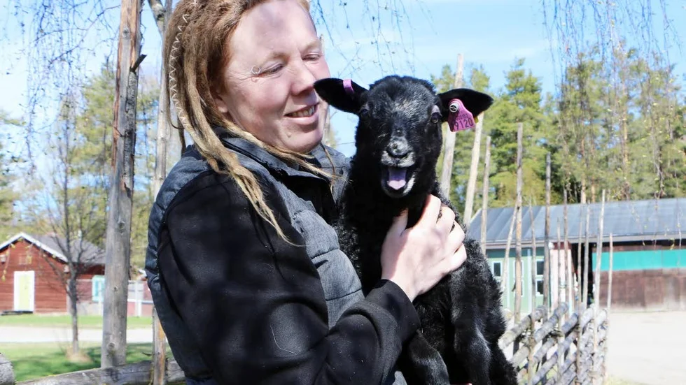 Eufåriskt möte i Hamptjärn.