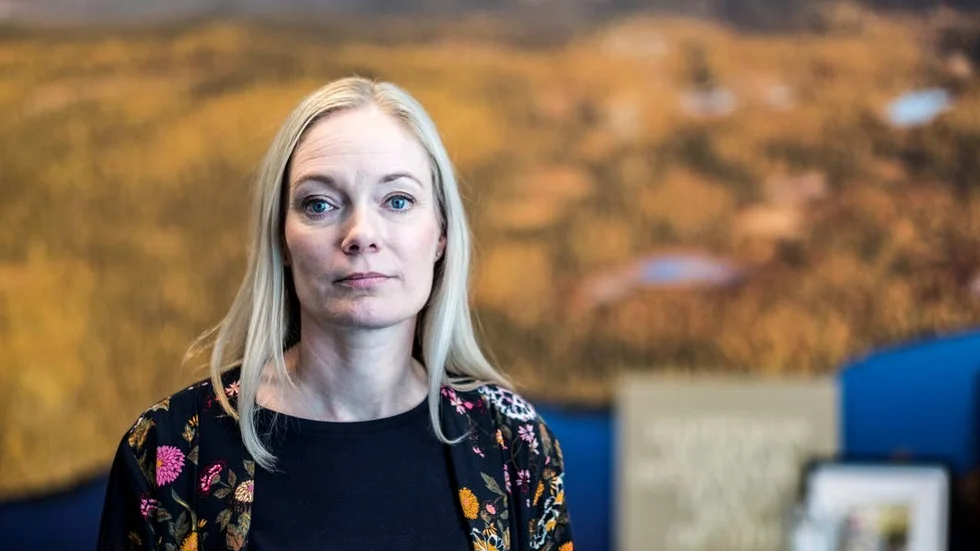 Flyttbidrag kan vara ett sätt att säkra kompetensförsörjningen i norra Sverige, det menar Åsa Allan, vice vd för Kaunis Iron.