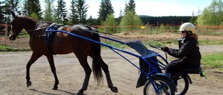 Lastbilschauffören hoppas på att ratta in V75-seger