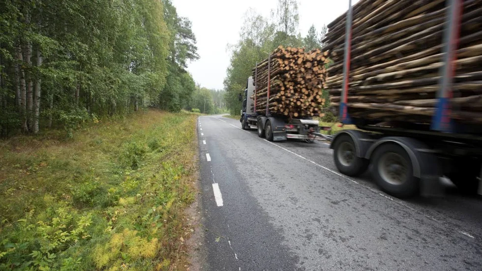 Det var här, söder om Niemisel, som kvinnan avled.
