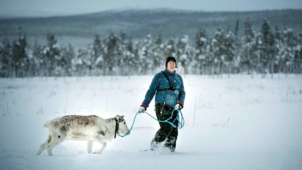 Jan Erik Länta, Jåhkågasska sameby.