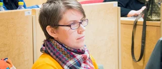 Vill stoppa privat alternativ