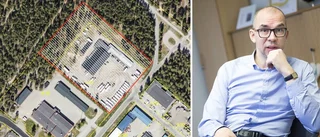 Ändrad detaljplan – trots höga naturvärden