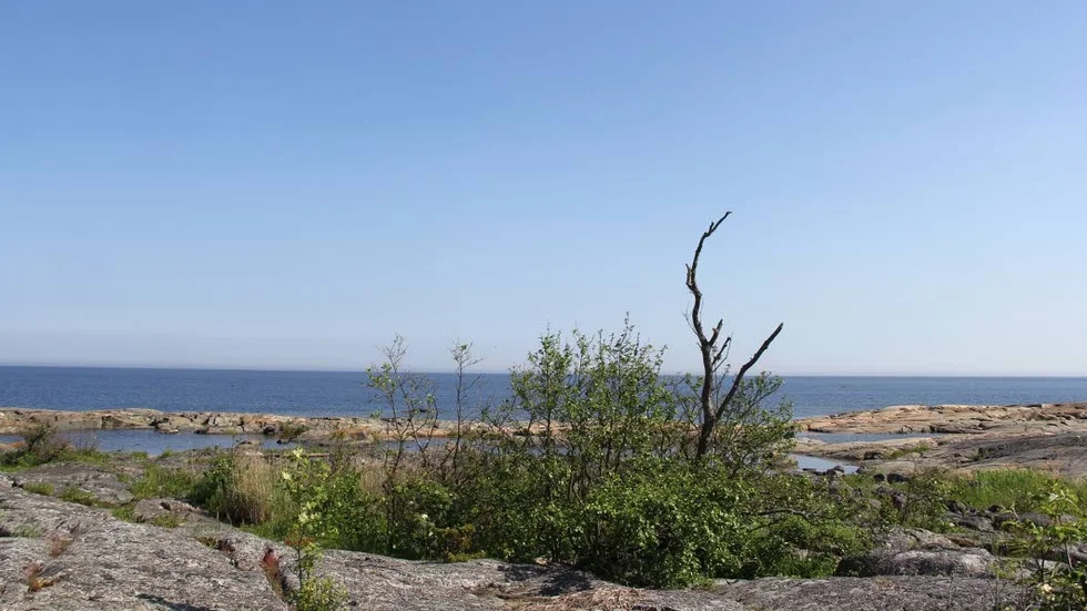 Länsstyrelsen har kartlagt den gröna infrustrukturen i länet. Grön infrastruktur är ett samlingsnamn för land- och vattenmiljöer, skyddade naturområden och andr områden som är av värde för den biologiska mångfalden och ekosystemet. Bilden är från Fyrön Björn, utanför Fågelsundet i Bottenhavet.
