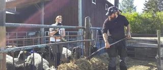 Närproducerat samlas och säljs på ett ställe