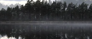 Vi måste kämpa för miljön tillsammans