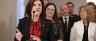 EU-nämnden stödjer regeringen om minimilöner