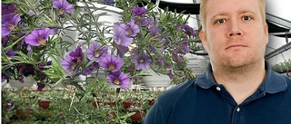 Är man dum - så måste man vara smart