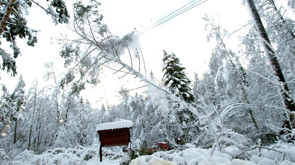Rör inte. Rensa aldrig nedtyngda ledningar själv, varnar Skellefteå Kraft. Foto: PONTUS LUNDAHL.