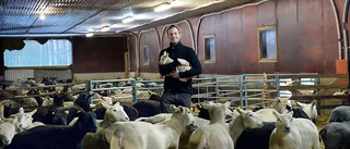 Fårbönder tackade ja till tv