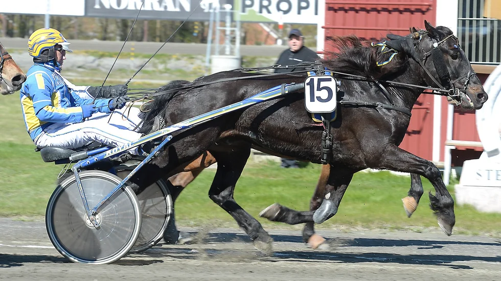Per Gustafsson tog andra raka med Schampis.