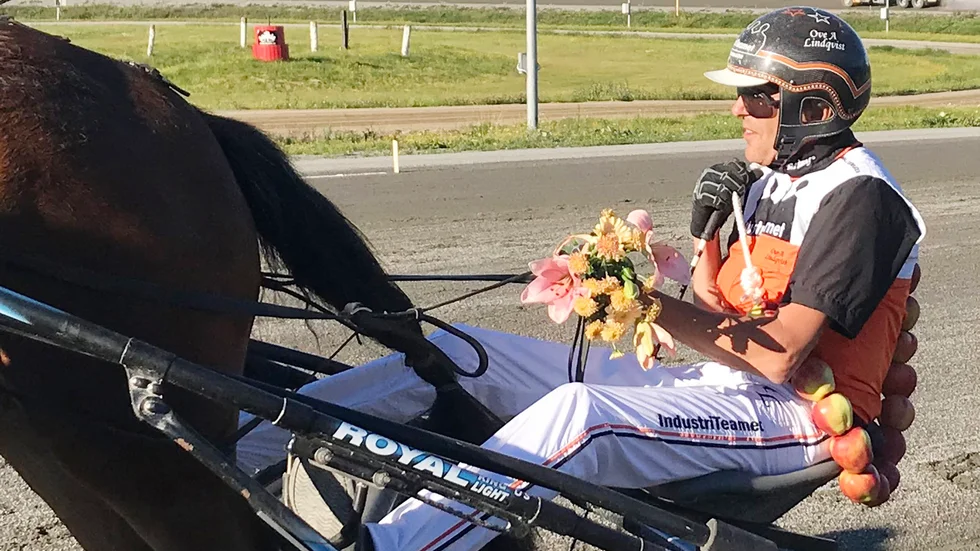 Ove A Lindqvist kör Olly Håleryd - ett av de största hemmahoppen i kommande helgs V75-omgång i Skellefteå.