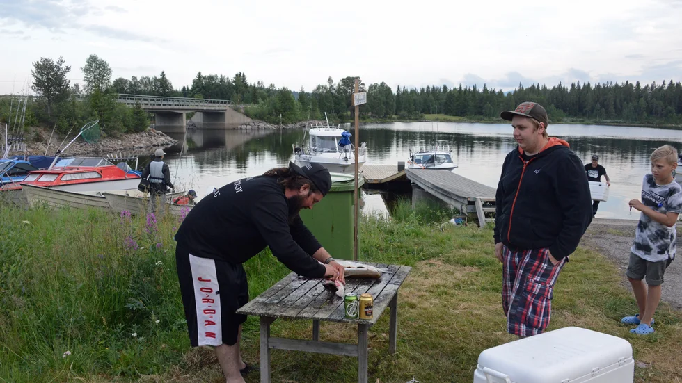 Det har nappat bra för team Sik & Destroie med Tobias Rekonius som skeppare, här rensar han fisk till vänster Patrik Marklund som var dagens fiskekompis.