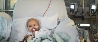 Molly, 2 år, har blodcancer – blev utslängd från rummet • Familjen vägrar vara kvar på Akademiska
