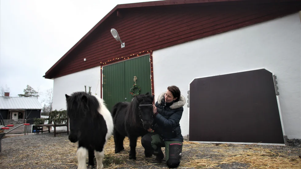 I somras färdigställdes stallet och nu är hon i startgroparna av sitt projekt Lillybo gård, med ponnyridning. Utöver det förbereder hon för restaurangöppning i april och sköter om sin häst. 
