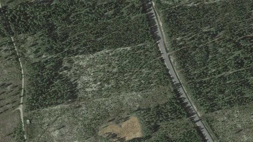 Området kring Arnemarksvägen 87