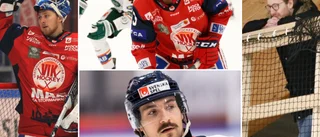 Stor genomgång – så kan VIK-truppen se ut nästa säsong • Det blir viktigaste rekryteringen • Han är förlorad • Honom bör man satsa på