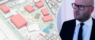 Sjölander (M) vill ha svar om Bökensved